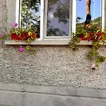 трапезица за до 12 човека с безплатен паркинг, двор и веранди, в град търново Nyaraló *