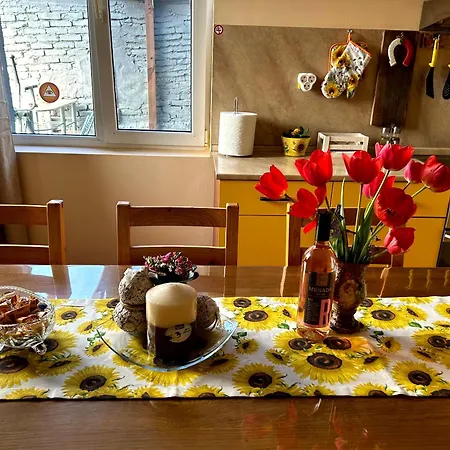 трапезица за до 12 човека с безплатен паркинг, двор и веранди, в град търново Nyaraló