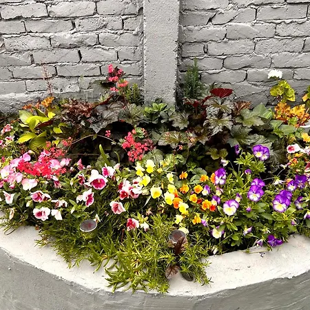 трапезица за до 12 човека с безплатен паркинг, двор и веранди, в град търново Nyaraló *