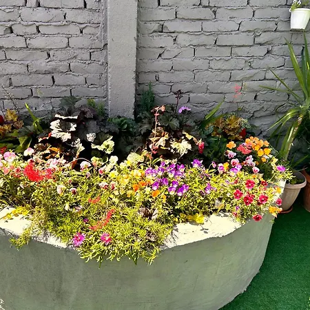 трапезица за до 12 човека с безплатен паркинг, двор и веранди, в град търново Veliko Tarnovo