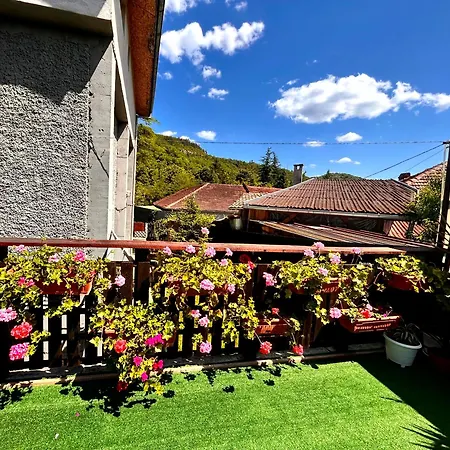 трапезица за до 12 човека с безплатен паркинг, двор и веранди, в град търново