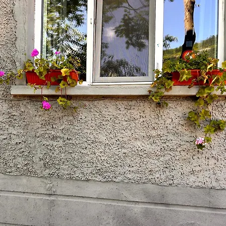 трапезица за до 12 човека с безплатен паркинг, двор и веранди, в град търново Nyaraló *