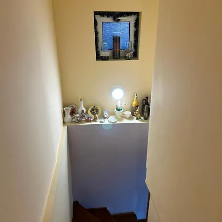 трапезица за до 12 човека с безплатен паркинг, двор и веранди, в град търново Holiday home