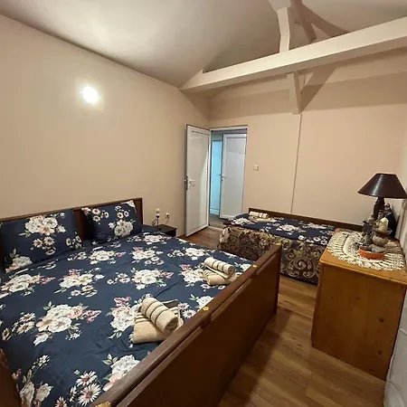 трапезица за до 12 човека с безплатен паркинг, двор и веранди, в град търново 別荘 *