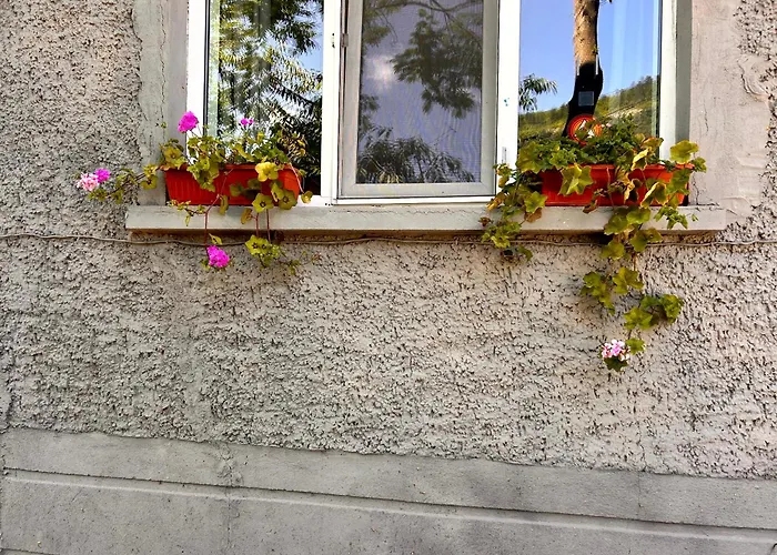 трапезица за до 12 човека с безплатен паркинг, двор и веранди, в град търново Feriehus *